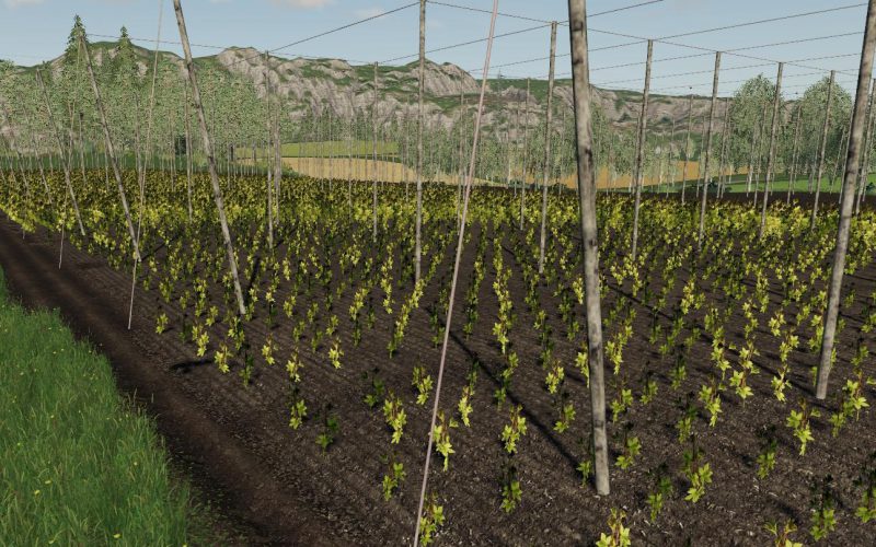 Felsbrunn Multifruit Final v 1.0.0.2