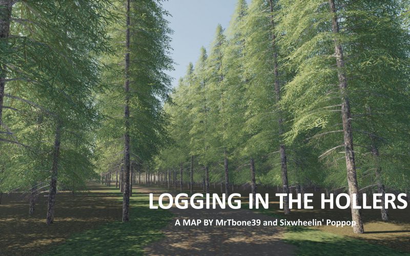 LOGGING IN THE HOLLERS V 1.0